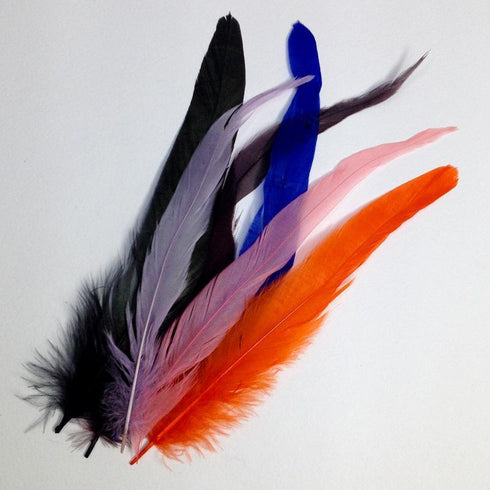 AussieSuperStore Art & Craft Essentials Craft Feathers Large Craft Feathers Large | Artificial Feathers | Synthetic Feathers FEA-501